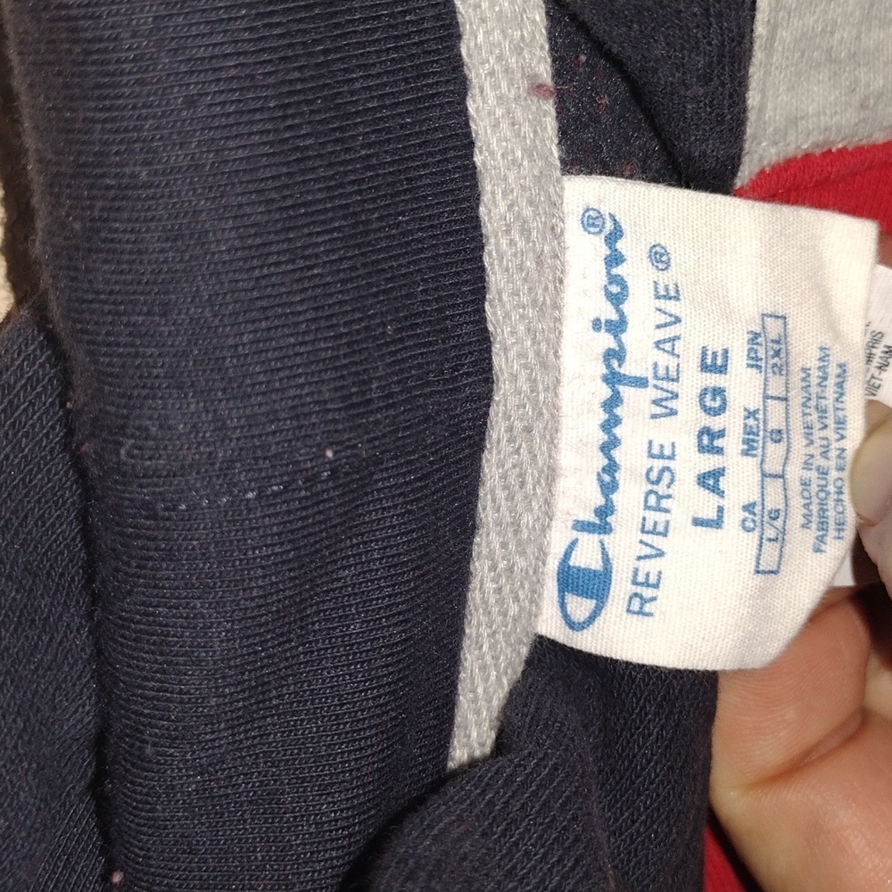 Champion Reverse Weave Color Block Hoodie L - image 6